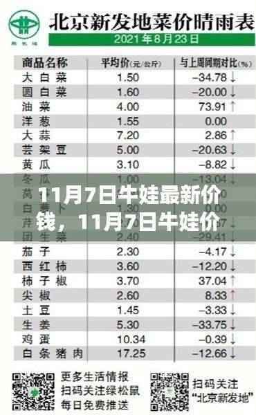 产品 第641页