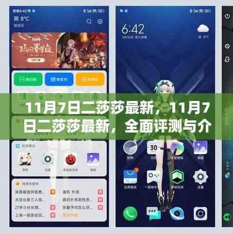 11月7日二莎莎全面评测与介绍,最新资讯一网打尽