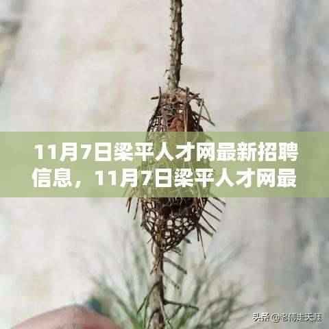 11月7日梁平人才网最新招聘信息一览及获取应聘全攻略(适合初学者与进阶用户)