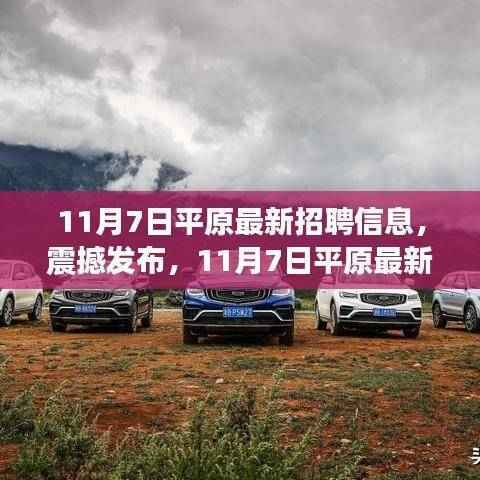 11月7日平原最新高科技招聘热潮,引领未来求职招聘新纪元