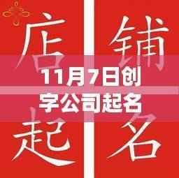 创字公司命名大全及指南,11月7日最新趋势下的思考与实践