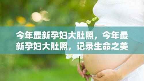 最新孕妇大肚照,记录生命之美,展现孕育之路的独特魅力