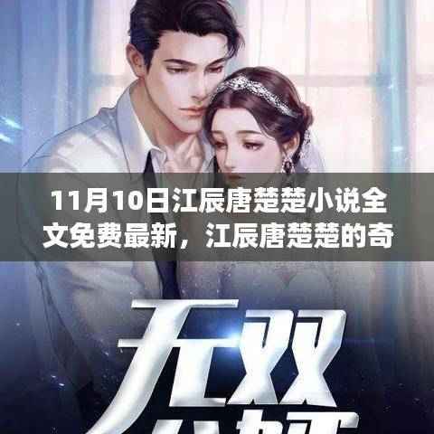 江辰唐楚楚奇幻自然之旅,11月10日不期而遇的宁静美景