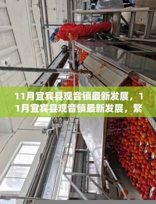 宜宾县观音镇繁荣崛起背后的故事,最新发展揭秘