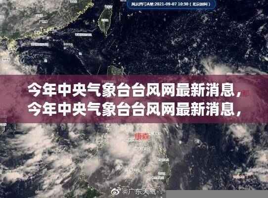今年中央气象台台风网最新消息,热带风暴动态及应对策略发布