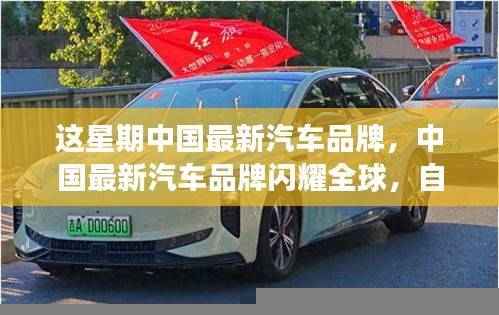 中国最新汽车品牌闪耀全球,成就感的源泉与变革同行力展现新力量