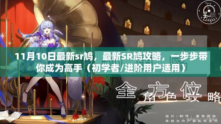 最新SR鸠攻略,从入门到高手的指南(适用于初学者与进阶用户)