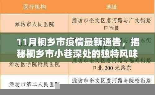 桐乡市疫情最新通告,小巷深处的独特风味,疫情下的意外美食之旅