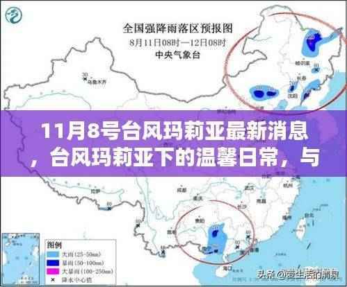 台风玛莉亚下的温馨日常,与友情共舞的日子(最新消息)