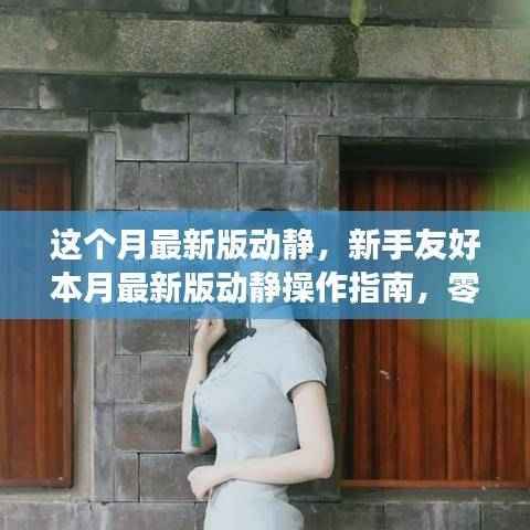 本月最新版动静操作指南,零基础新手也能轻松完成进阶任务