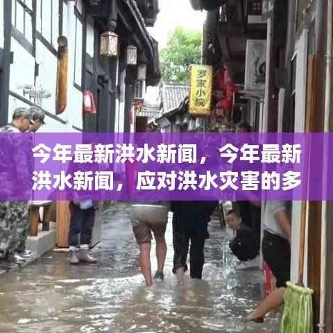 今年洪水灾害的多元视角与应对策略探讨，最新新闻及应对措施分析