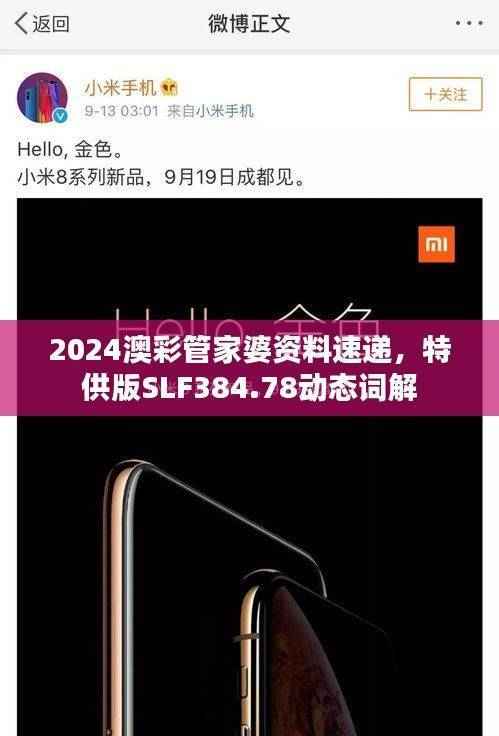 2024澳彩管家婆资料速递,特供版SLF384.78动态词解