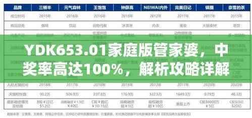 YDK653.01家庭版管家婆,中奖率高达100%,解析攻略详解