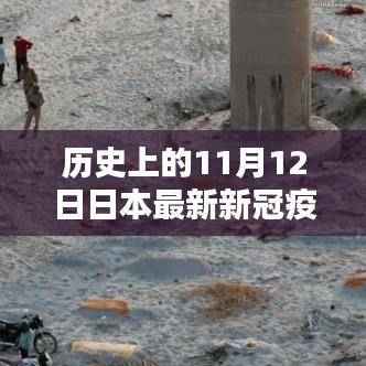 东京疫情下的温情与陪伴,11月12日的日常友情与力量