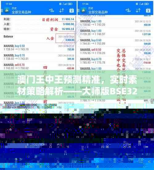 澳门王中王预测精准,实时素材策略解析——大师版BSE321.13