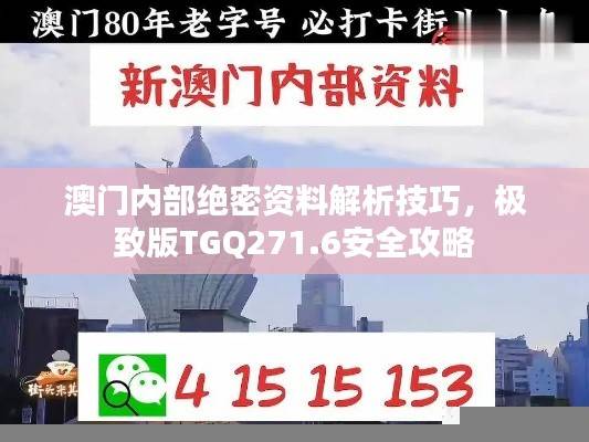 澳门内部绝密资料解析技巧,极致版TGQ271.6安全攻略