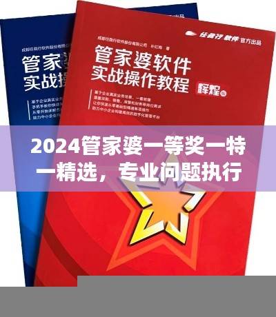 2024管家婆一等奖一特一精选,专业问题执行修订版GRV973.11