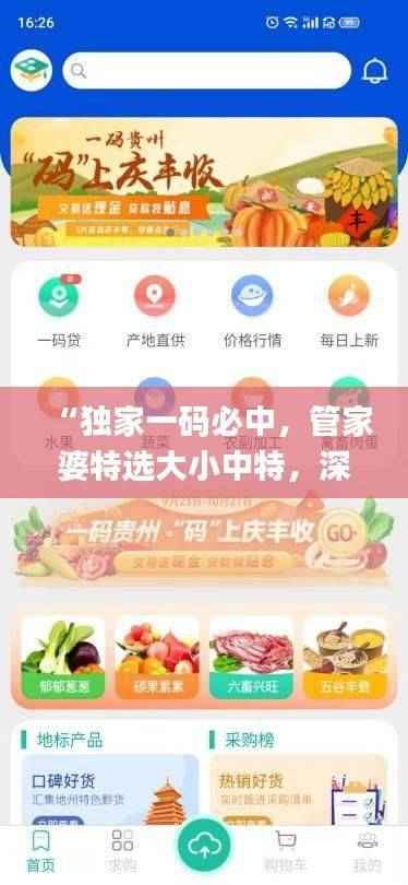 “独家一码必中,管家婆特选大小中特,深度分析解答_特别版MXI260.03”