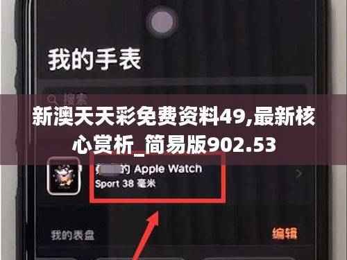 新澳天天彩免费资料49,最新核心赏析_简易版902.53