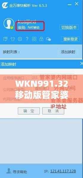 WKN991.32移动版管家婆必中一期，揭秘正品解析定义