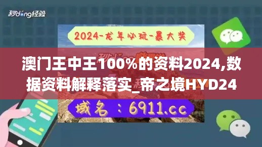 澳门王中王100%的资料2024,数据资料解释落实_帝之境HYD242.32
