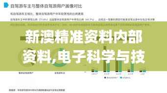新澳精准资料内部资料,电子科学与技术_动图版GFA276.22