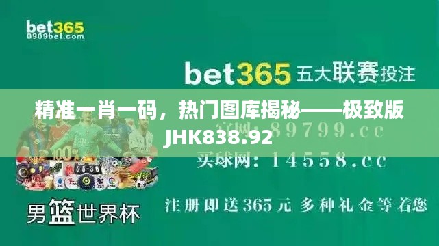 精准一肖一码,热门图库揭秘——极致版JHK838.92