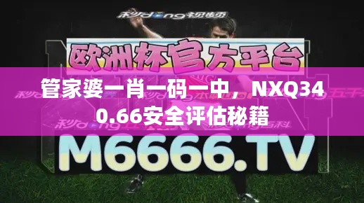 管家婆一肖一码一中,NXQ340.66安全评估秘籍