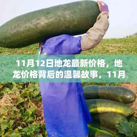 11月12日地龙最新价格揭秘,价格背后的温馨故事与奇遇