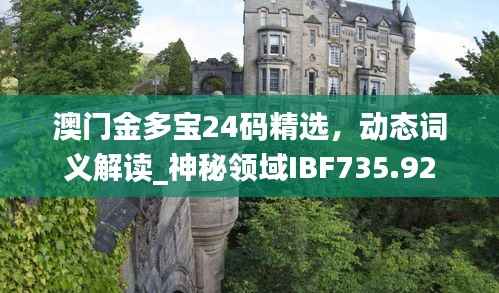 澳门金多宝24码精选,动态词义解读_神秘领域IBF735.92
