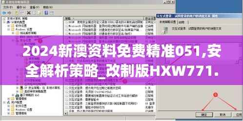 2024新澳资料免费精准051,安全解析策略_改制版HXW771.83