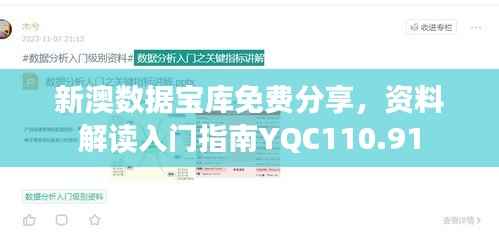 新澳数据宝库免费分享,资料解读入门指南YQC110.91