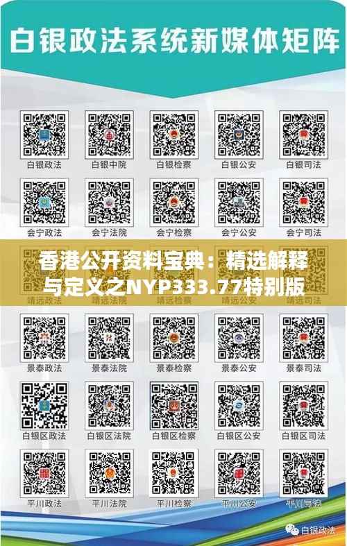 香港公开资料宝典:精选解释与定义之NYP333.77特别版