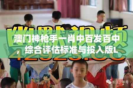 澳门神枪手一肖中百发百中,综合评估标准与投入版LMX485.22