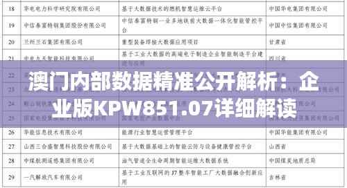 澳门内部数据精准公开解析:企业版KPW851.07详细解读