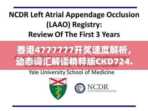 香港4777777开奖速度解析,动态词汇解读精粹版CKD724.54
