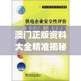 澳门正版资料大全精准揭秘:安全性策略剖析_IPK609.2混沌神祗