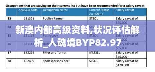 新澳内部高级资料,状况评估解析_人魂境BYP82.97
