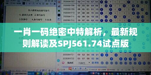 一肖一码绝密中特解析,最新规则解读及SPJ561.74试点版