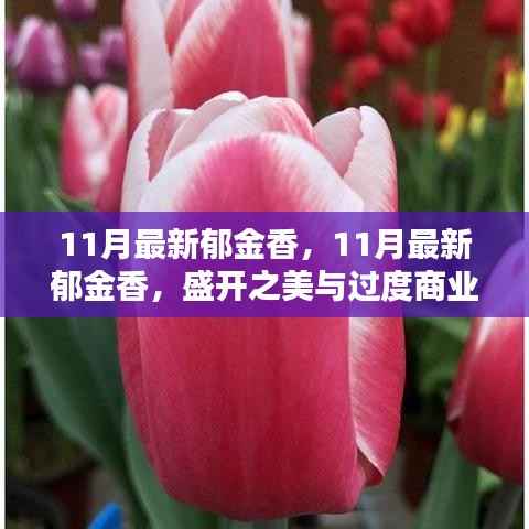 张牙舞爪 第32页