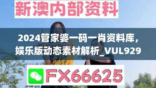 2024管家婆一码一肖资料库,娱乐版动态素材解析_VUL929.62