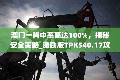 澳门一肖中率高达100%，揭秘安全策略_激励版TPK540.17攻略
