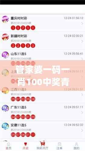 管家婆一码一肖100中奖青岛,综合计划赏析_特殊版IYD820.91