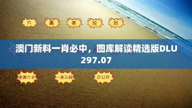 澳门新料一肖必中,图库解读精选版DLU297.07