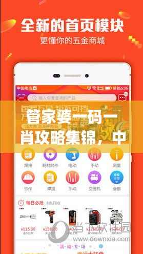 管家婆一码一肖攻略集锦,中级安全解码策略_KZN847.32