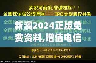 新澳2024正版免费资料,增值电信业务_真武境RVZ510.45
