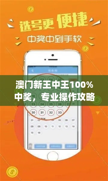 澳门新王中王100%中奖,专业操作攻略_理财篇QLU262.2
