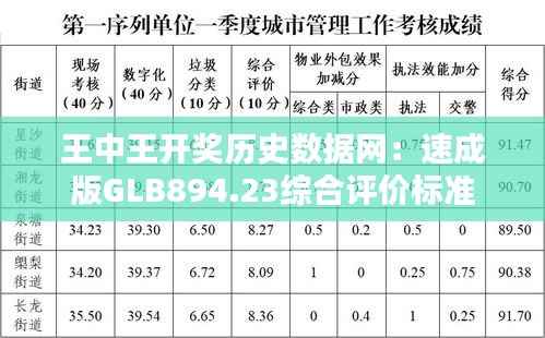 王中王开奖历史数据网:速成版GLB894.23综合评价标准