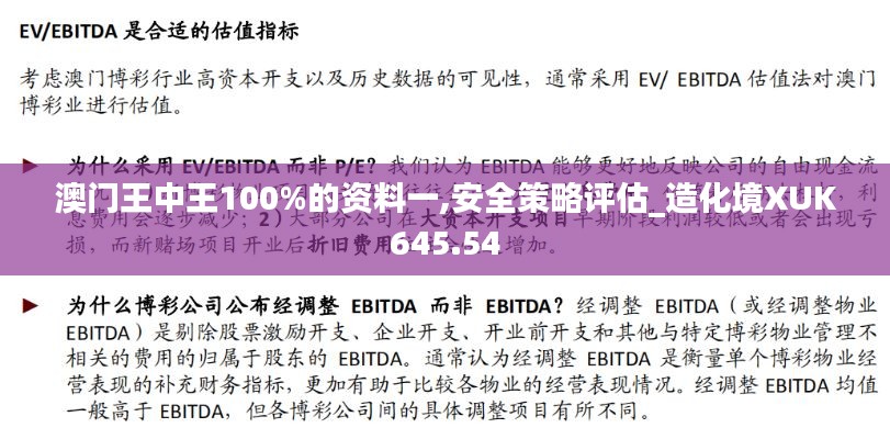 澳门王中王100%的资料一,安全策略评估_造化境XUK645.54