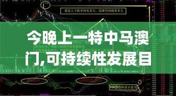 今晚上一特中马澳门,可持续性发展目标_天武境AHN100.93